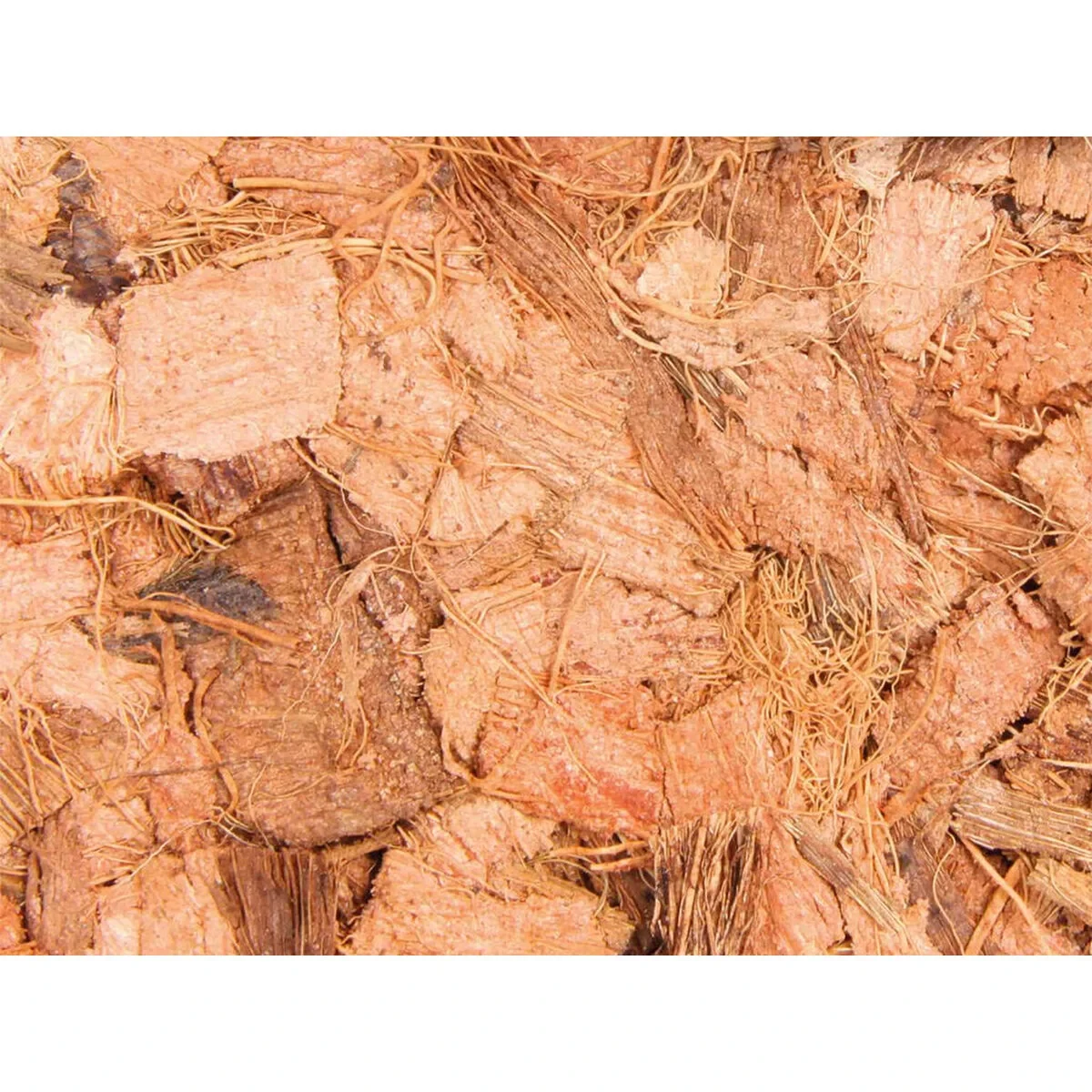 Sustrato Trixie 4,5 L Coco