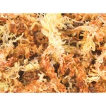 Sustrato Trixie 4,5 L Musgo