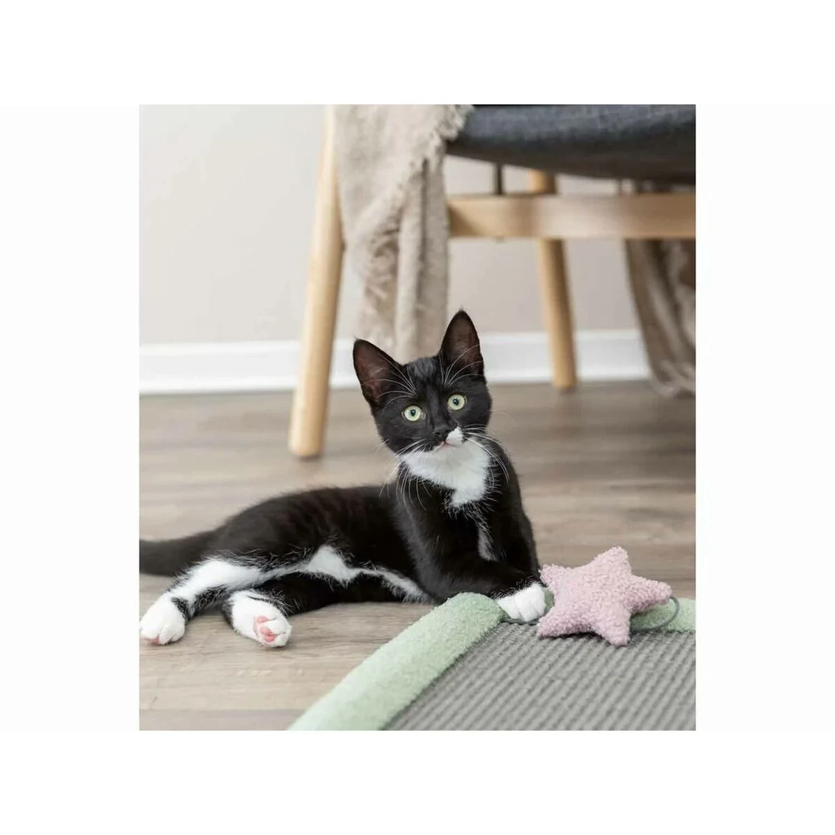 Rascador para Gatos Trixie Gris Menta 47 x 47 cm