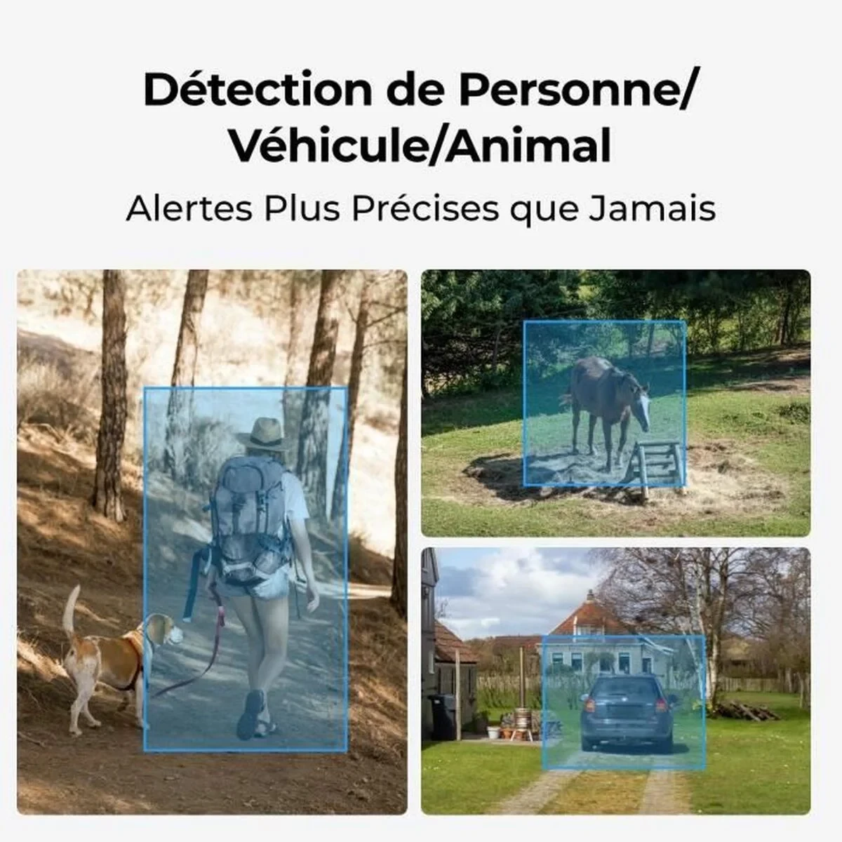 Videocámara de Vigilancia Reolink