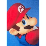 Manta Mario Bros 25 x 7 x 13 cm Multicolor Animales