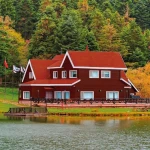 Pintura de Imprimación Bondex rouge Satinado 5 L