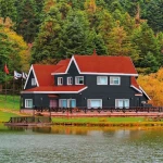 Pintura de Imprimación Bondex Gris Satinado 5 L