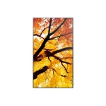 Monitor Videowall Sharp 60006052 Full HD 32"