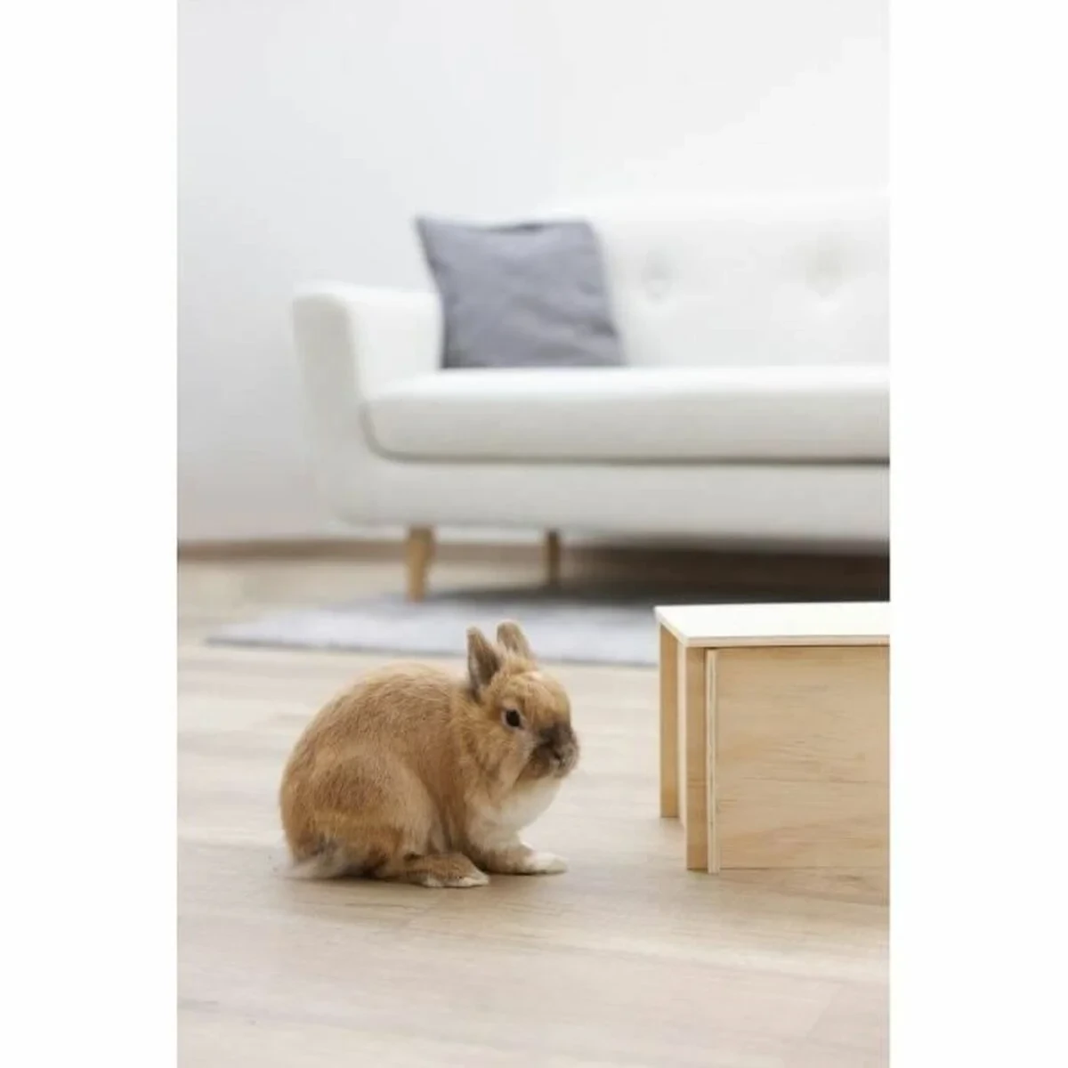 Casa para Roedores Kerbl Beige Madera