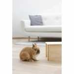 Casa para Roedores Kerbl Beige Madera