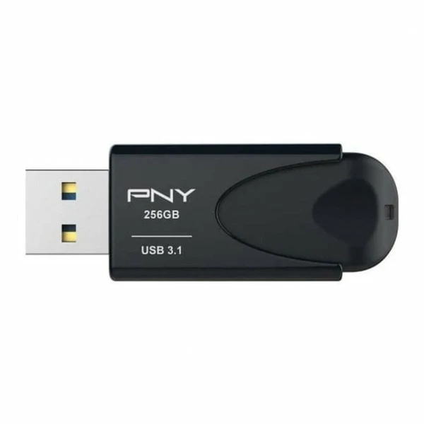 Memoria RAM PNY Attache 4 Negro 256 GB