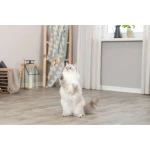 Juguete para gatos Trixie Pez 46 cm