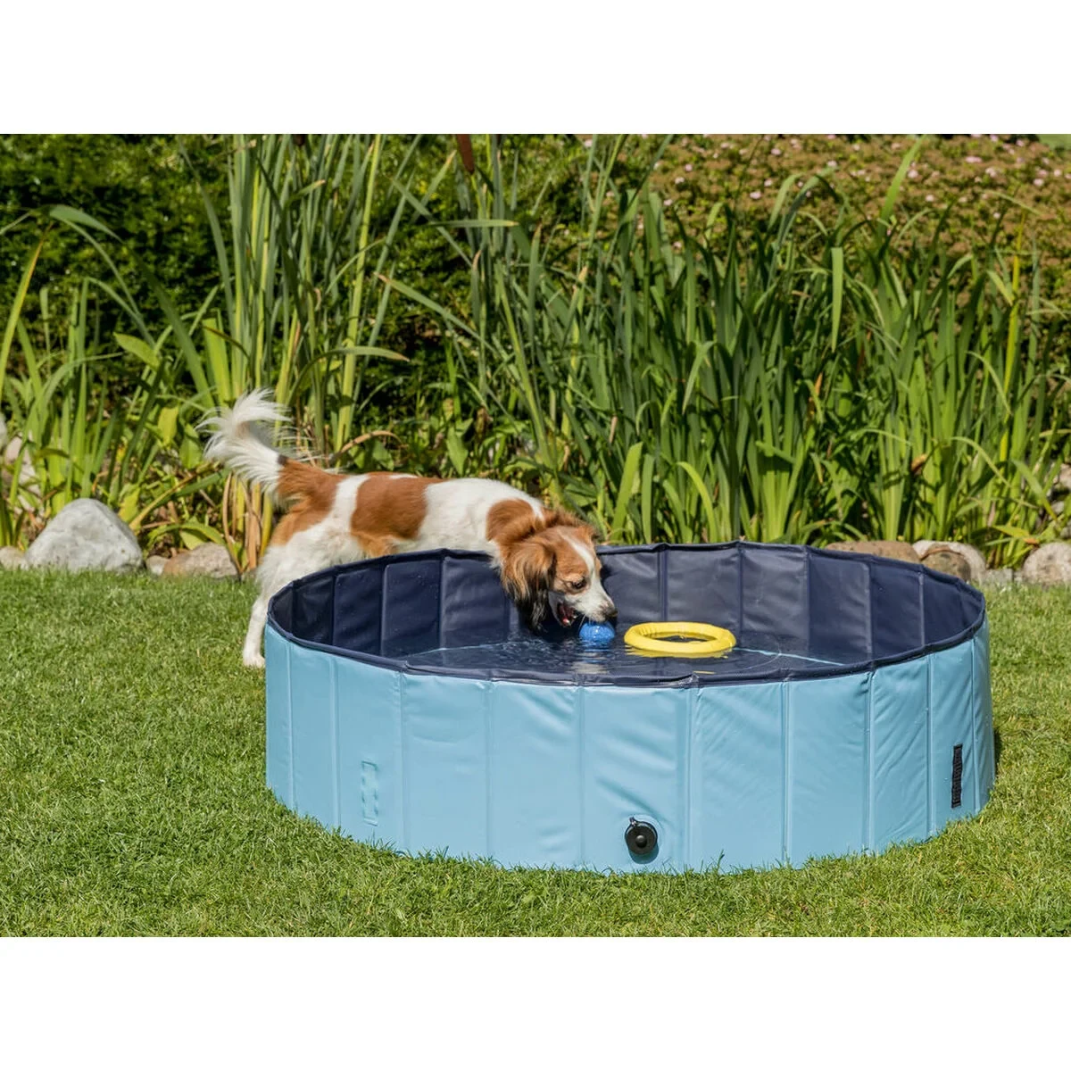 Piscina para Perros Trixie Azul claro Ø 70 × 12 CM