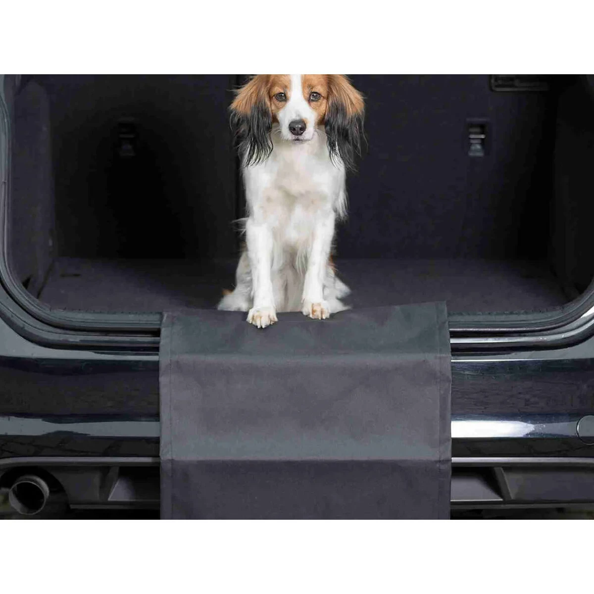 Funda Protectora de Coche para Mascotas Trixie Negro 50 × 70 cm